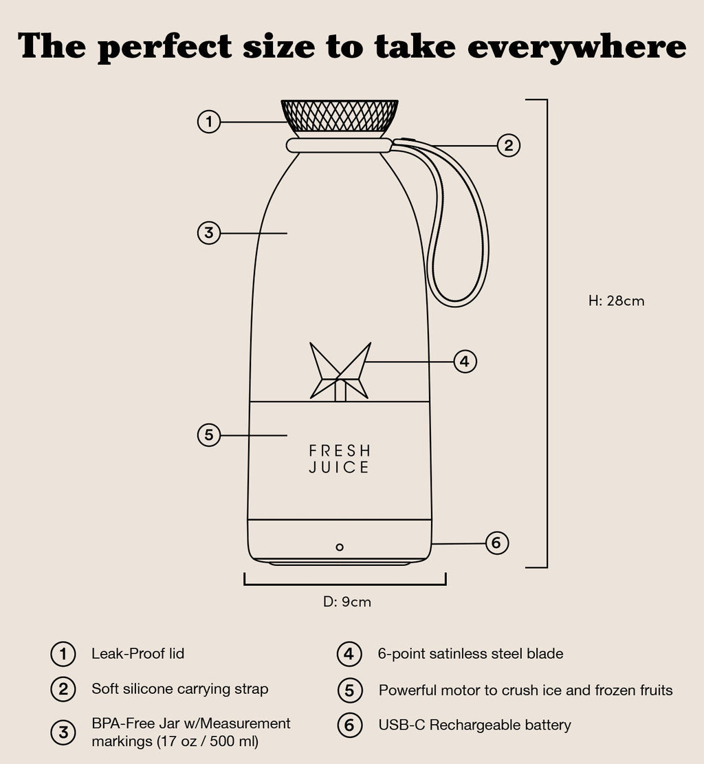 Portable Mini Juice Blender